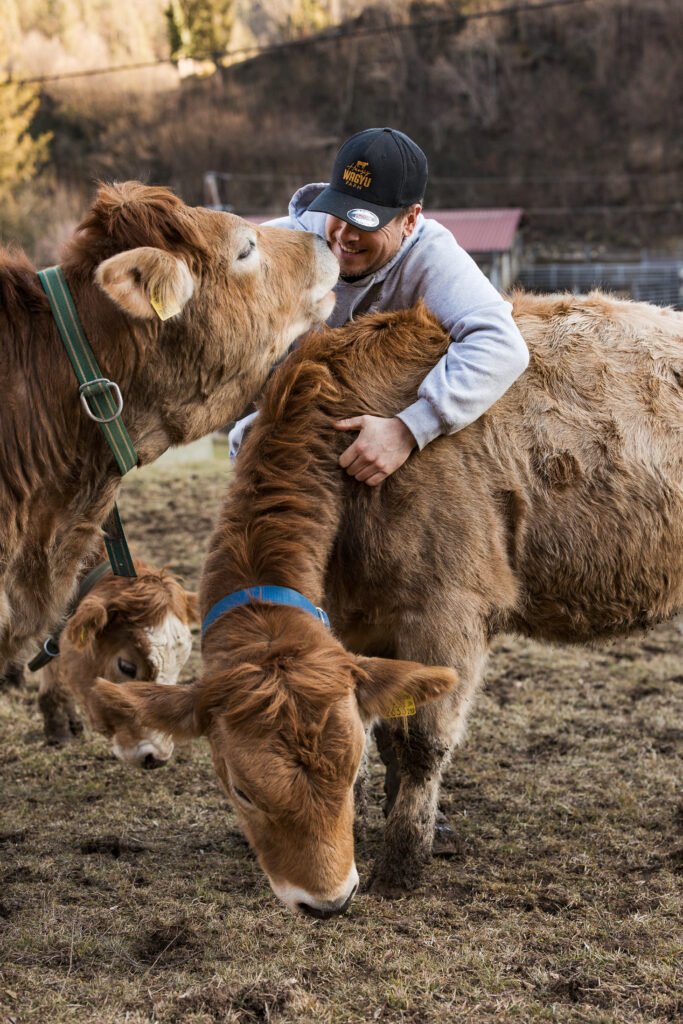 Landingpage_fav_Hausi